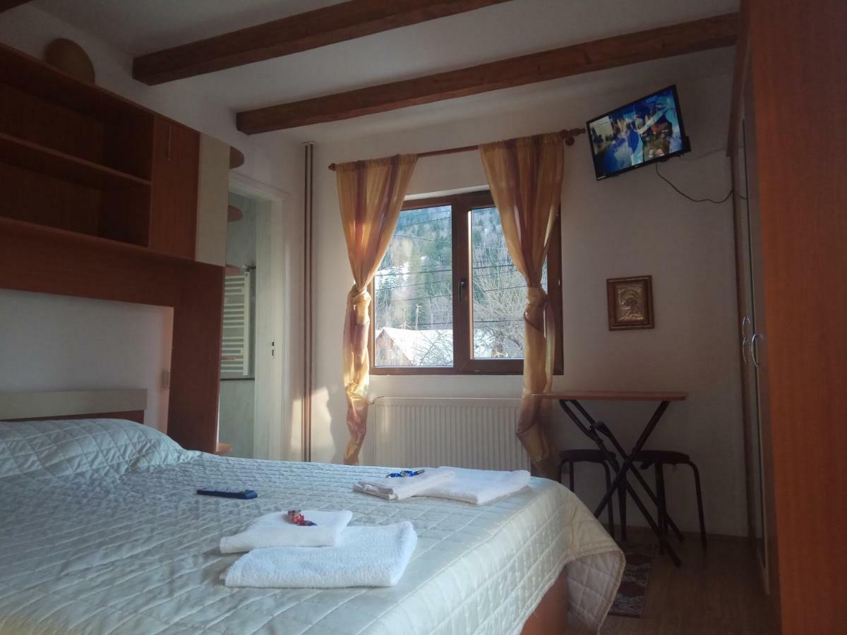 Casa Alexandru Hotel Azuga Bagian luar foto