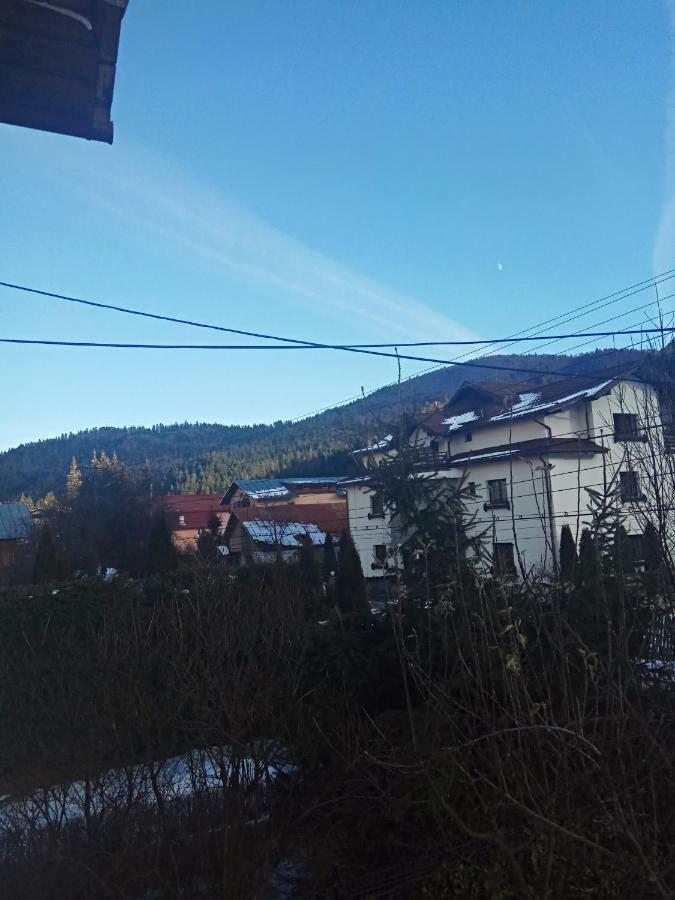 Casa Alexandru Hotel Azuga Bagian luar foto